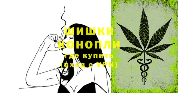 ПСИЛОЦИБИНОВЫЕ ГРИБЫ Нязепетровск