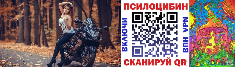Псилоцибиновые грибы MAGIC MUSHROOMS  Торопец 